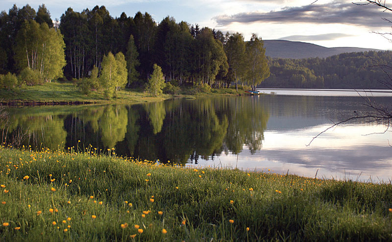 Vlasinski Triatlon Samoprevazilaženja